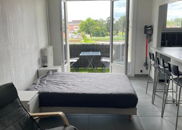 Apartament T2 Balcon Parking Climatise Albi